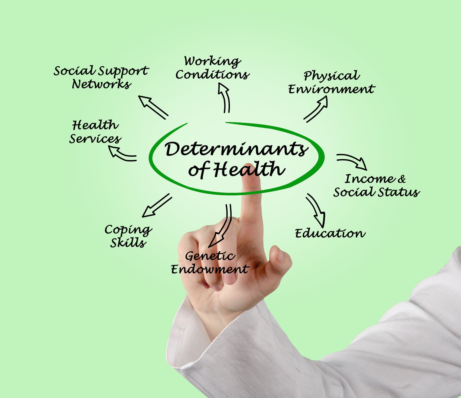 Is Environment More Important Than Genetics For Shaping Your Immune